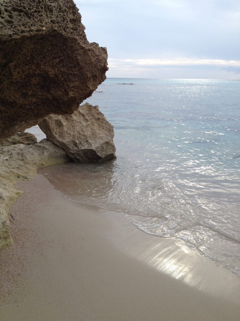 IMG_1808 IMG 1808 768x1024