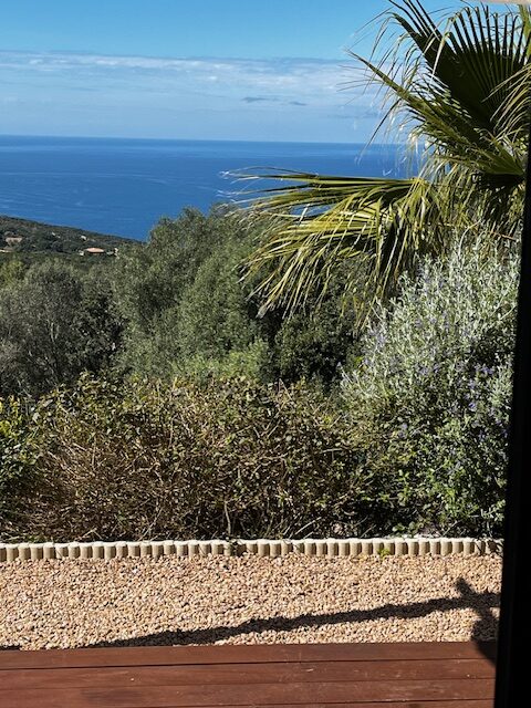 gallery-04 IMG 5418 Rotated