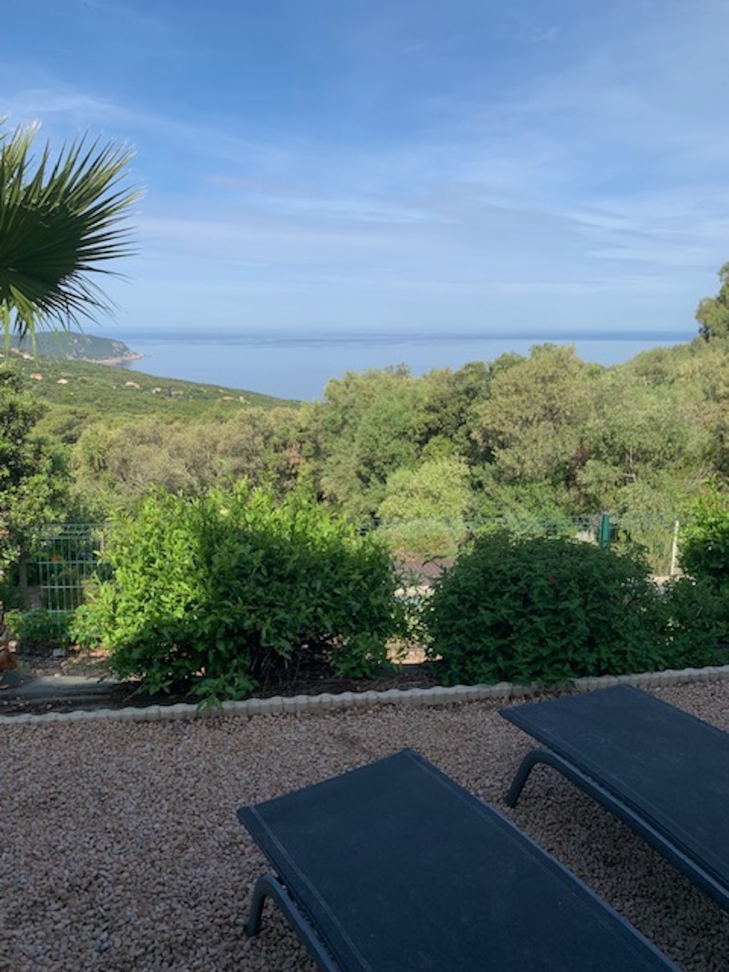 gallery-06 Jardin V2